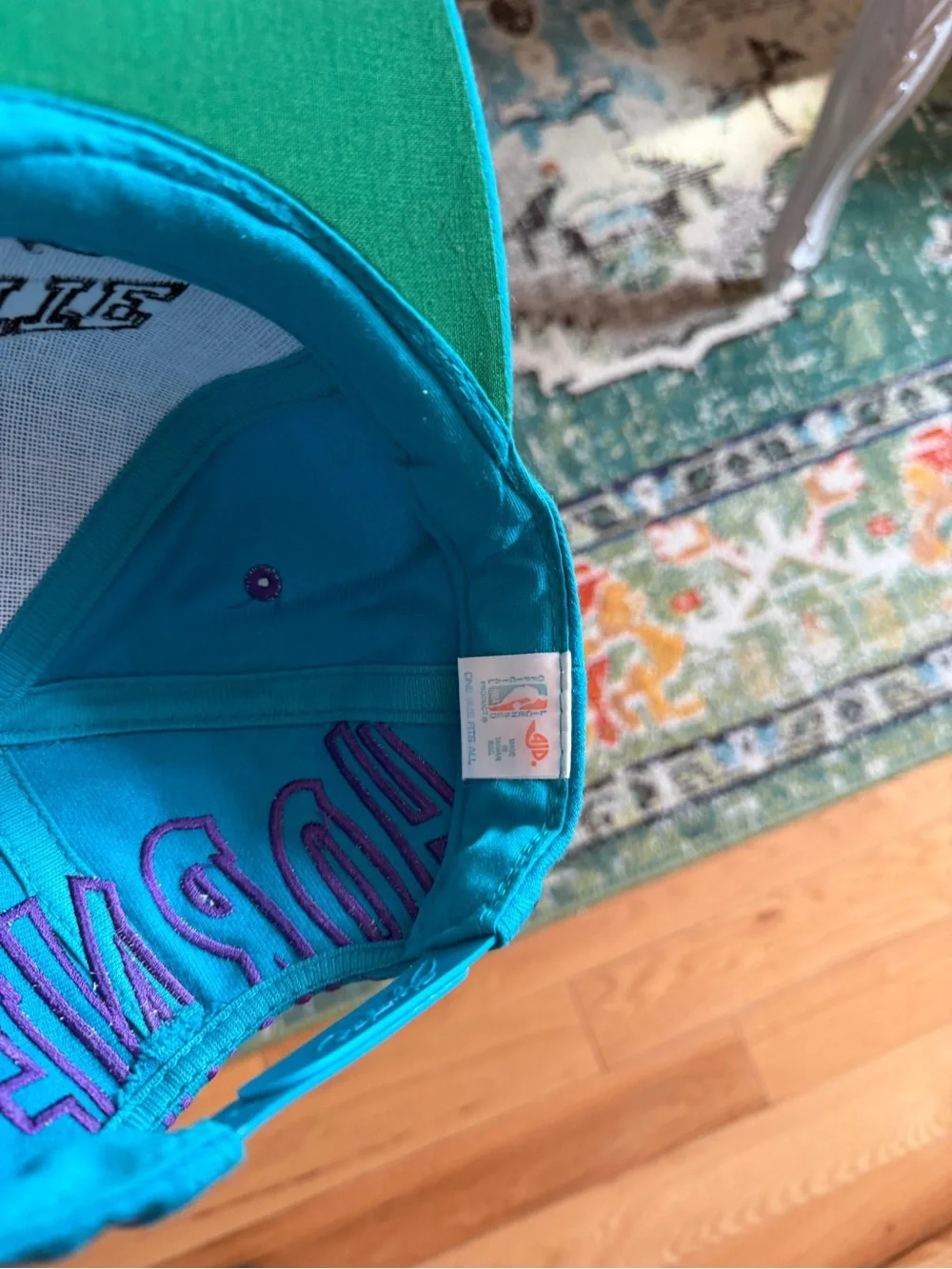 Charlotte Hornets Teal Basketball Cap with Embroidered Mascot